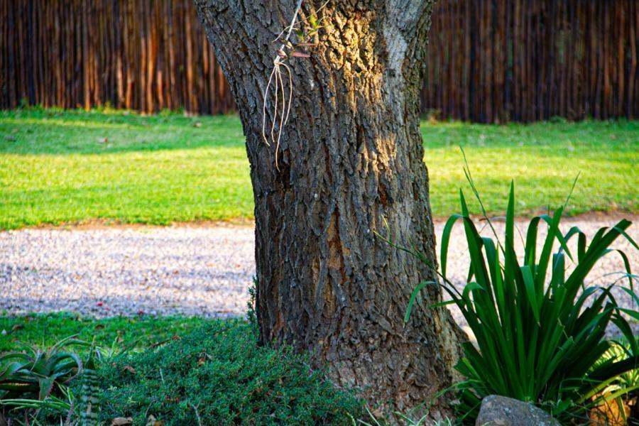 Kangelani Lodge Хиллкрест Экстерьер фото